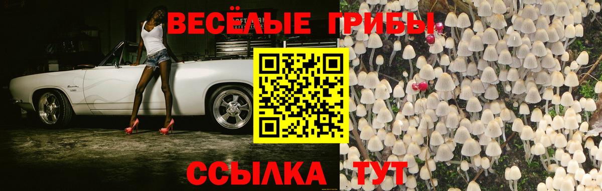наркотики  Псилоцибиновые грибы мухоморы  Вход с VPN  Заволжье 